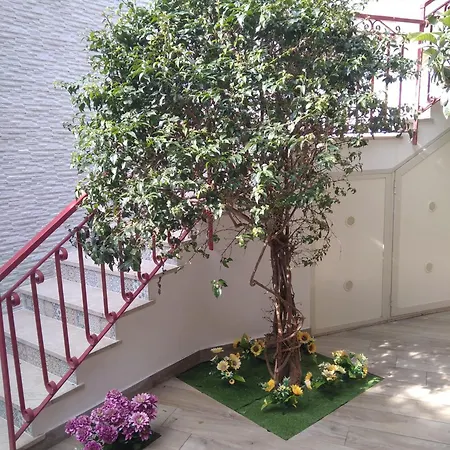 Poggio Del Sole Letojanni